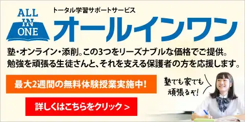 オールインワン